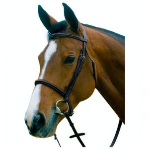 JHL Raised Cavesson Bridle ***£29.99*** COLLECT IN PERSON FOR THIS SPECIAL ONLINE DEAL !!!