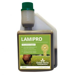 Global Herbs Laminitis Prone Supplement 500ml ***£15.99*** COLLECT IN PERSON FOR THIS SPECIAL ONLINE DEAL  !!!