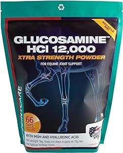 Glucosamine HCI 12,000 Plus MSM And HA ***£15.99*** COLLECT IN PERSON FOR THIS SPECIAL ONLINE DEAL !!!