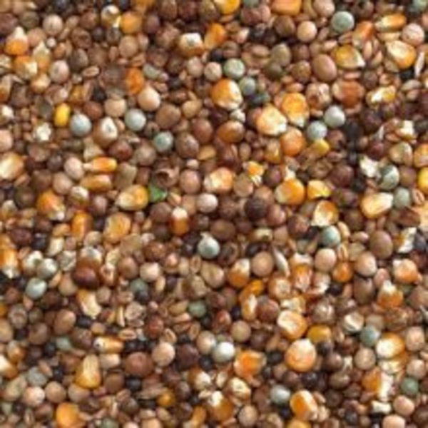Buckton-Pigeon-High-Protein-Economy-20kg-Bird-Food_100229