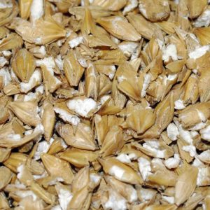 Rolled Barley 25kg ***£12.99*** COLLECT IN PERSON FOR THIS SPECIAL ONLINE DEAL !!!