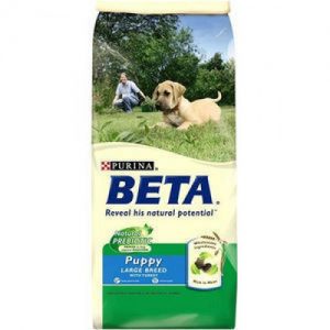 purina beta puppy