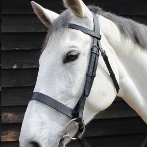 JHL Plain Cavesson Bridle ***£29.99*** COLLECT IN PERSON FOR THIS SPECIAL ONLINE DEAL  !!!