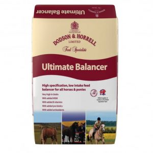 Dodson & Horrell Ultimate Balancer 20kg ***£43.99*** COLLECT IN PERSON FOR THIS SPECIAL ONLINE DEAL  !!!