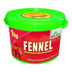 Global Herbs Fennel For Horses 1kg  ***£12.90*** COLLECT IN PERSON FOR THIS SPECIAL ONLINE DEAL !!!