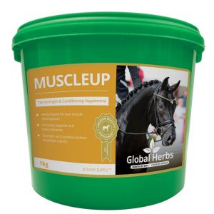 Global Herbs Muscle Up 1kg ***£24.21*** COLLECT IN PERSON FOR THIS SPECIAL ONLINE DEAL  !!!