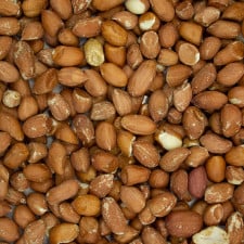Premium Grade Peanuts For Wild Birds 25kg  ***£44.99*** COLLECT IN PERSON FOR THIS SPECIAL ONLINE DEAL  !!!
