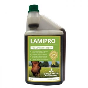 Global Herbs Lami-Pro Supplement 1ltr ***£39.00*** COLLECT IN PERSON FOR THIS SPECIAL ONLINE DEAL !!!