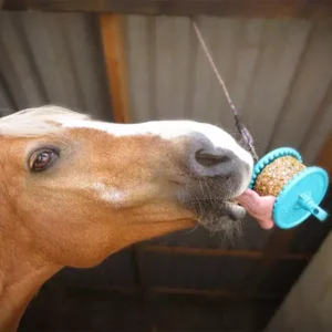 Likit Refill 550g Granola Mixed Berry Single S5g9.jpg