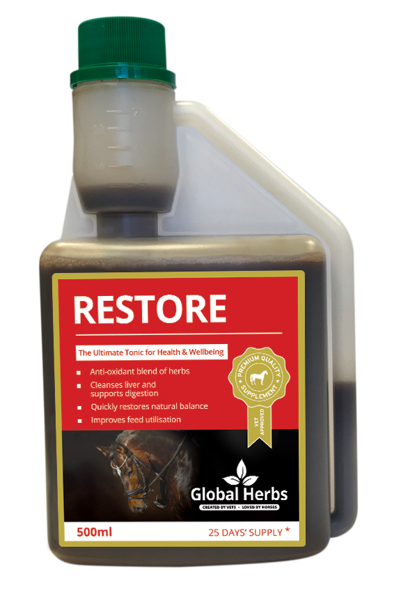 restorefromrbequestrian2 restorefromrbequestrian2